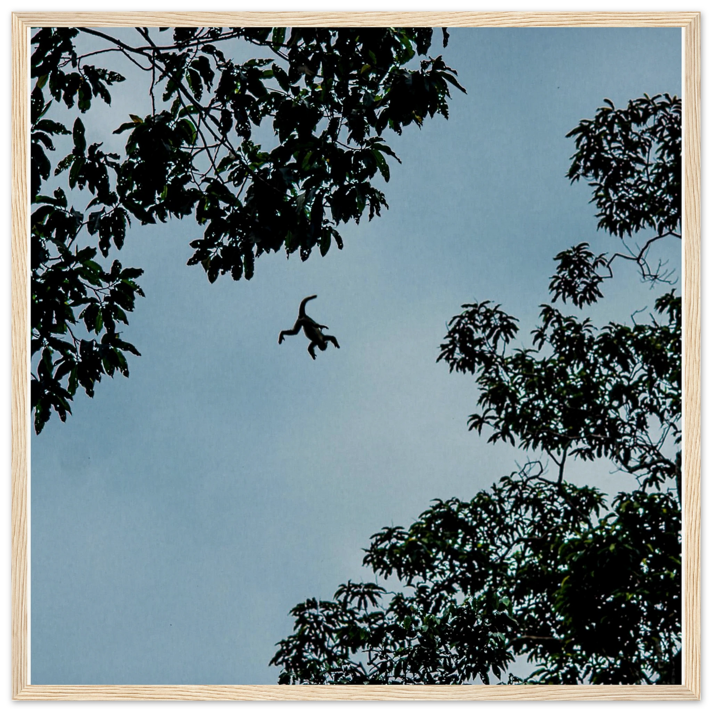 11c0d0b4-ff7c-4974-acac-adf19f94121a