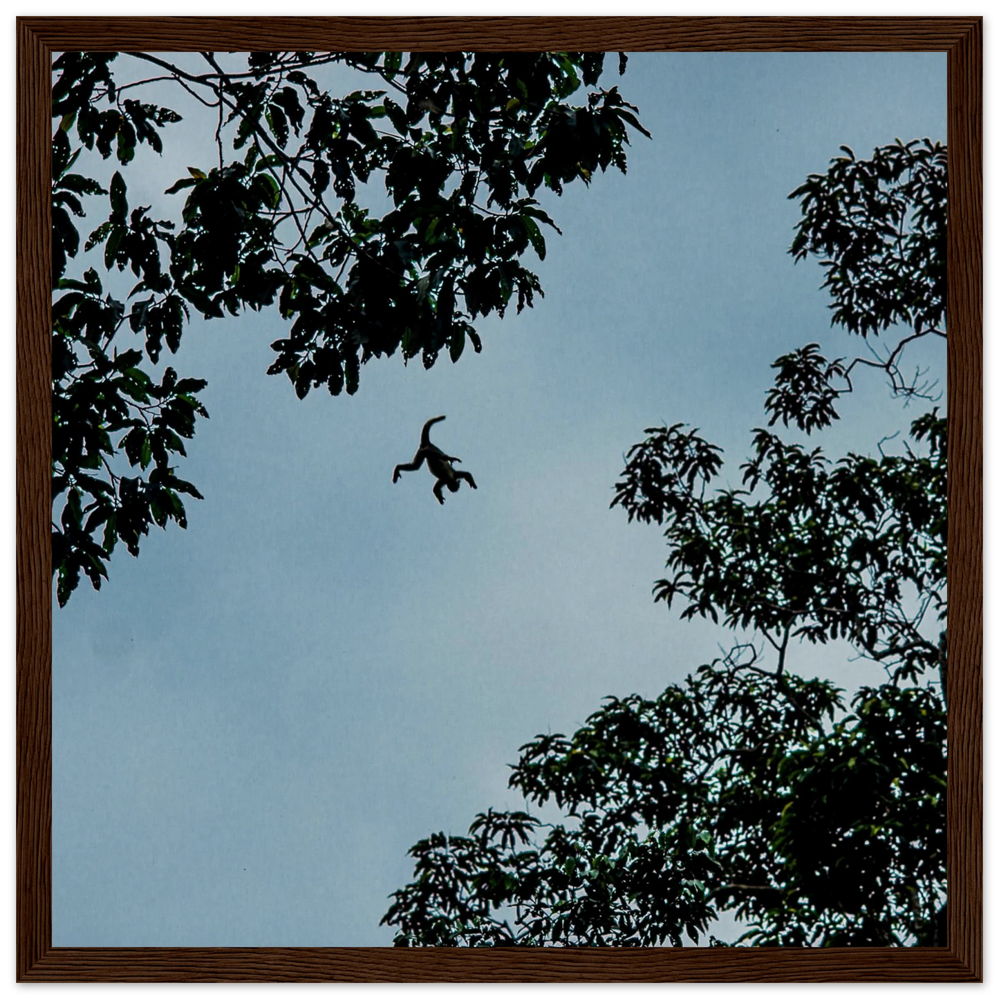 20527c50-e145-483b-8881-eeefa73d0ae7