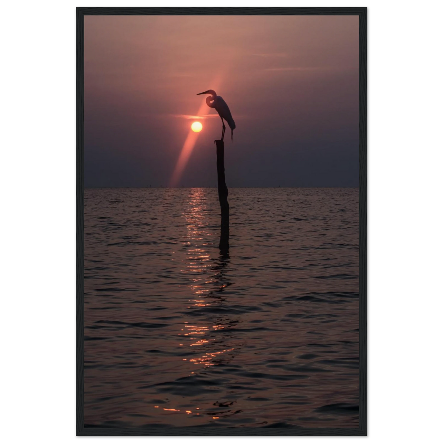 25823338-be67-46ba-9fdb-d118bda9012b