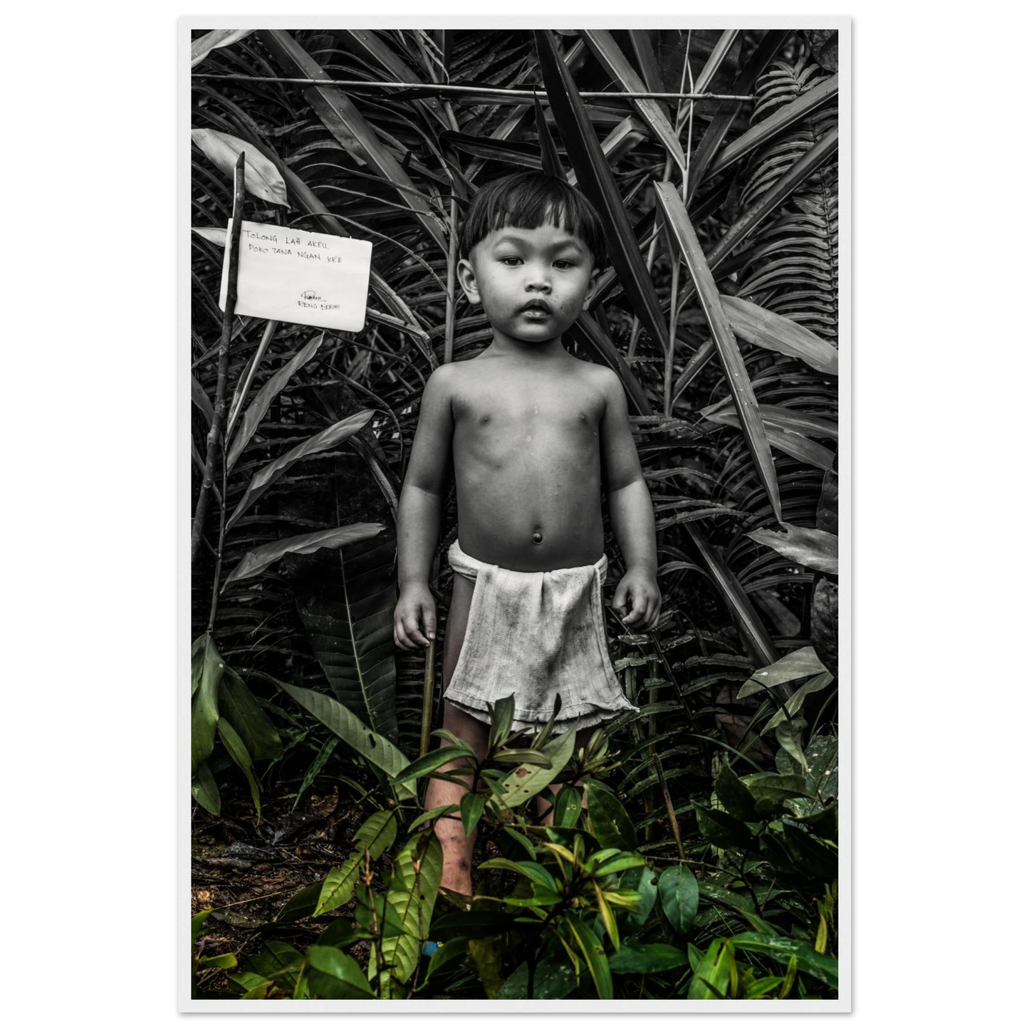 2625d75a-0e92-48fc-8584-2ab26fae775b