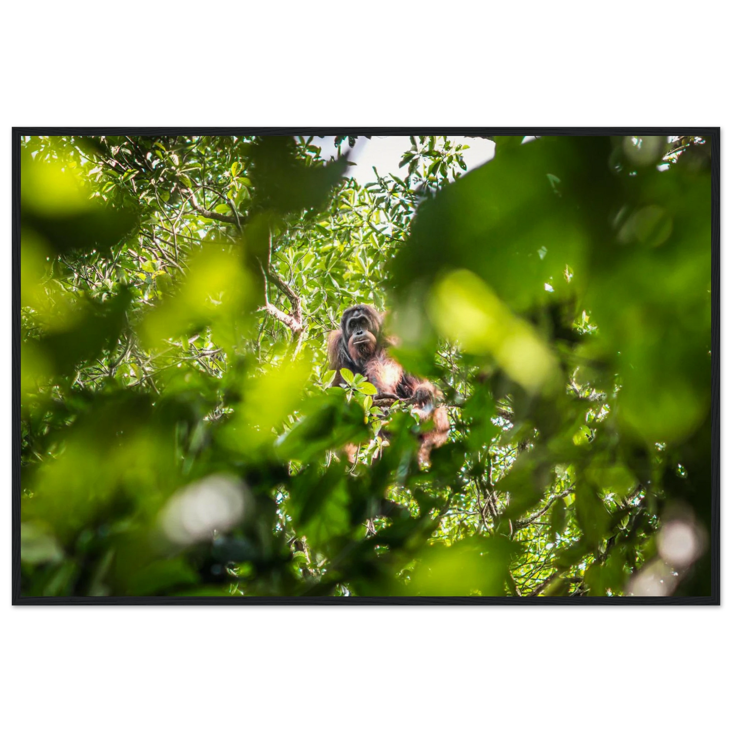 2cf57be0-1871-432d-89b6-8aeb253b6e4f