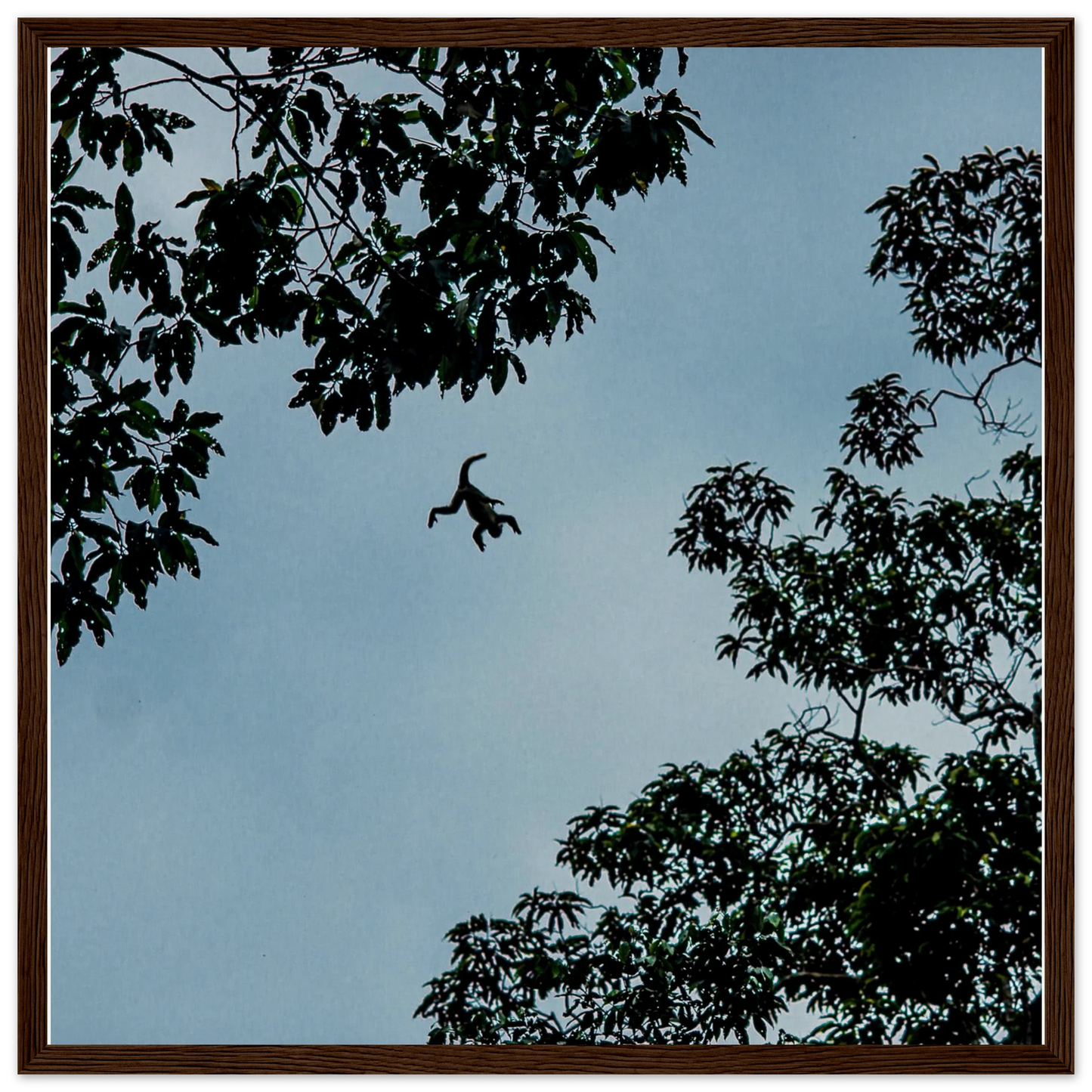 3ef5956b-161e-4564-8f86-f424e4f3f43b