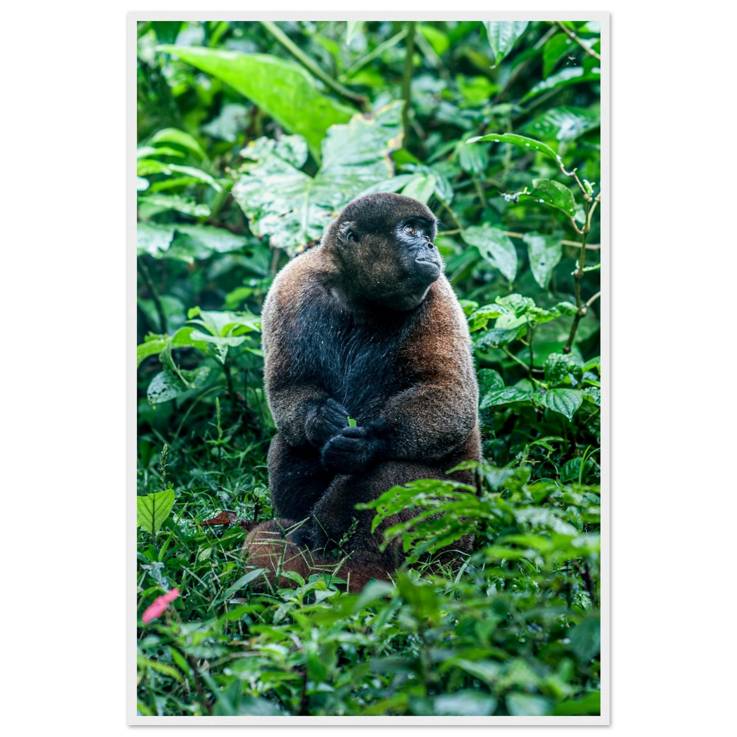778aecf1-3b19-4988-a84a-11b42cbb8b12