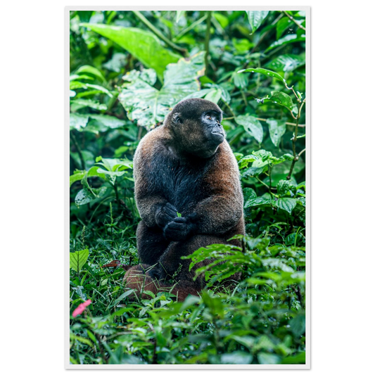 778aecf1-3b19-4988-a84a-11b42cbb8b12