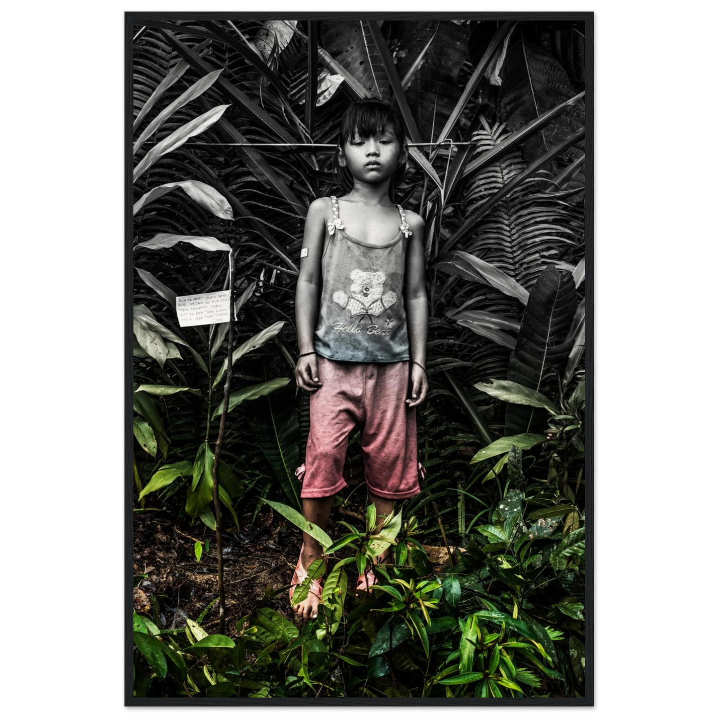 9c25674a-af37-4ee0-bde2-1d3cf6ccb7ee