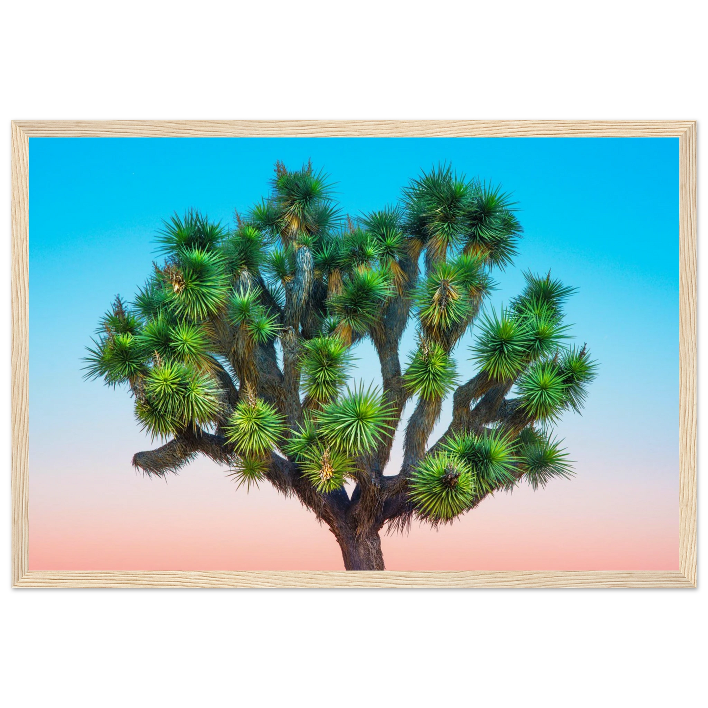 a13c03f9-d198-4cad-98c6-55cbb7d5e623