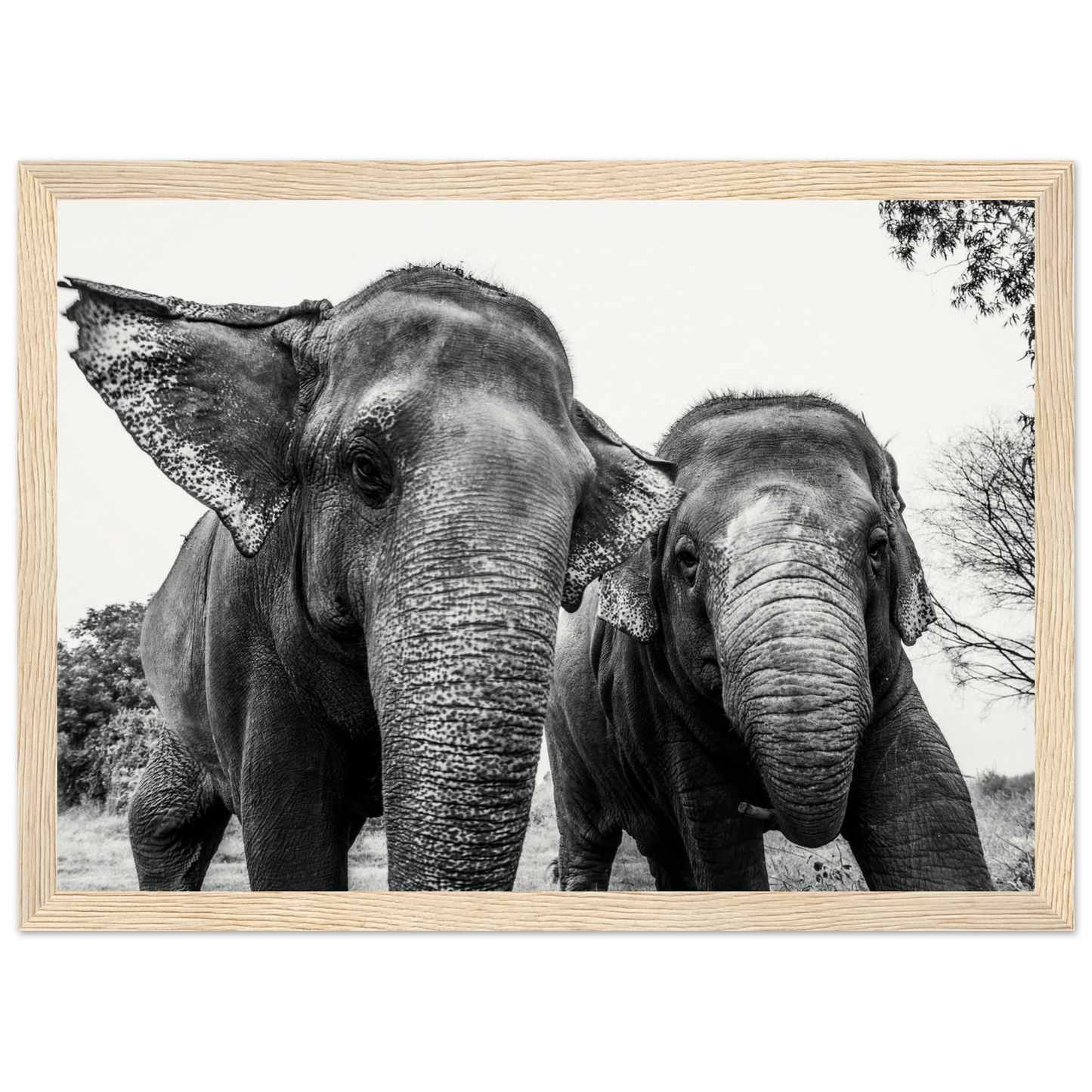 aec3061b-e40e-4173-b420-7155b805b8fe