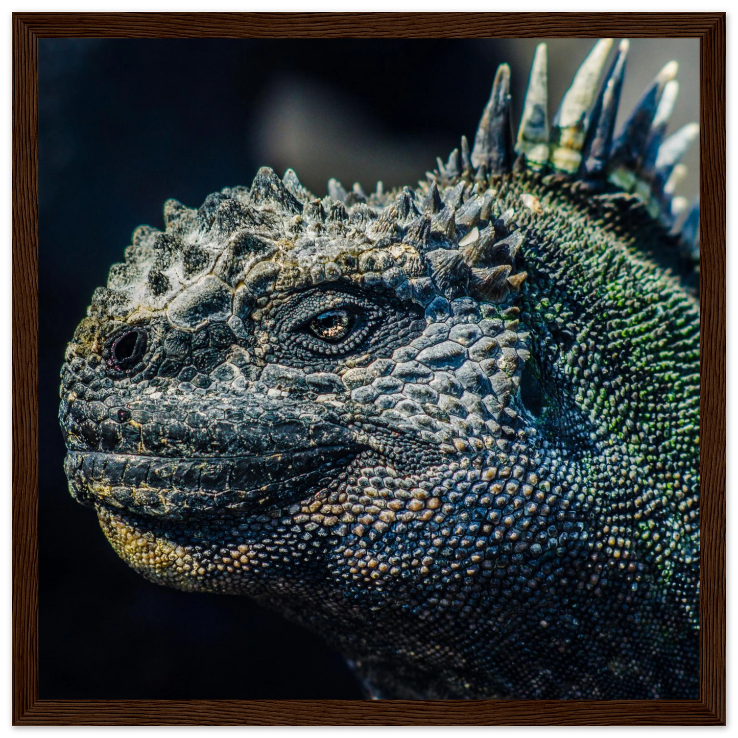 b42547e9-c560-4f6e-9ccf-5c2757879193