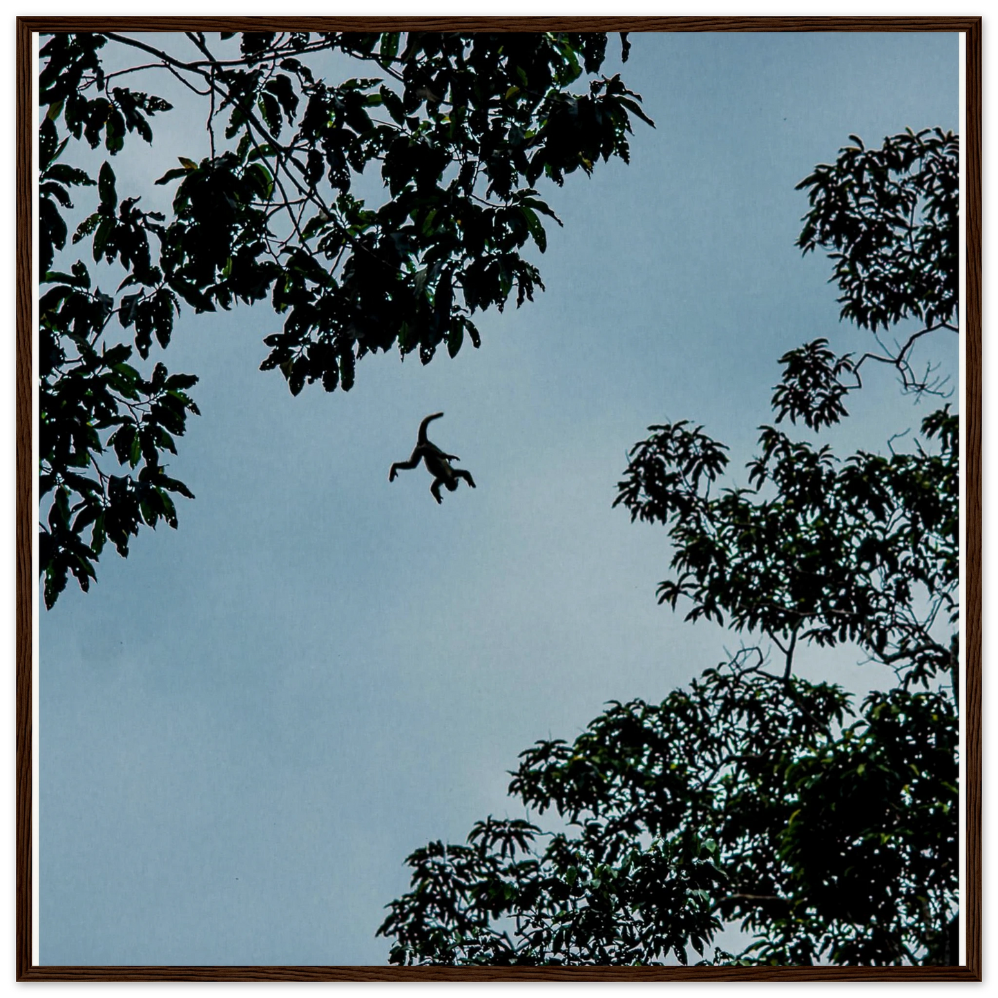 b894a8f1-34e8-4d44-8161-b17940f23a4e