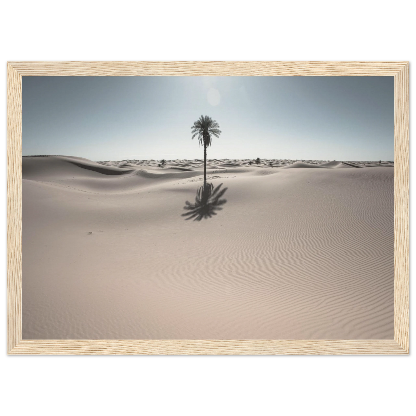 dbcaddb1-521a-4574-8bfe-011ffc1b4f3b