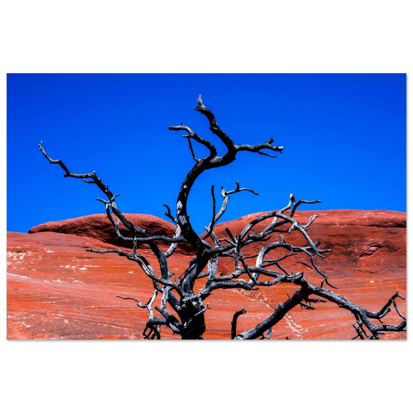 e283f028-f698-4251-8954-898641a4744f